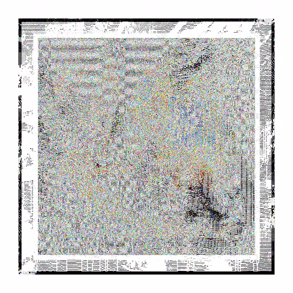 CHX-1 #4