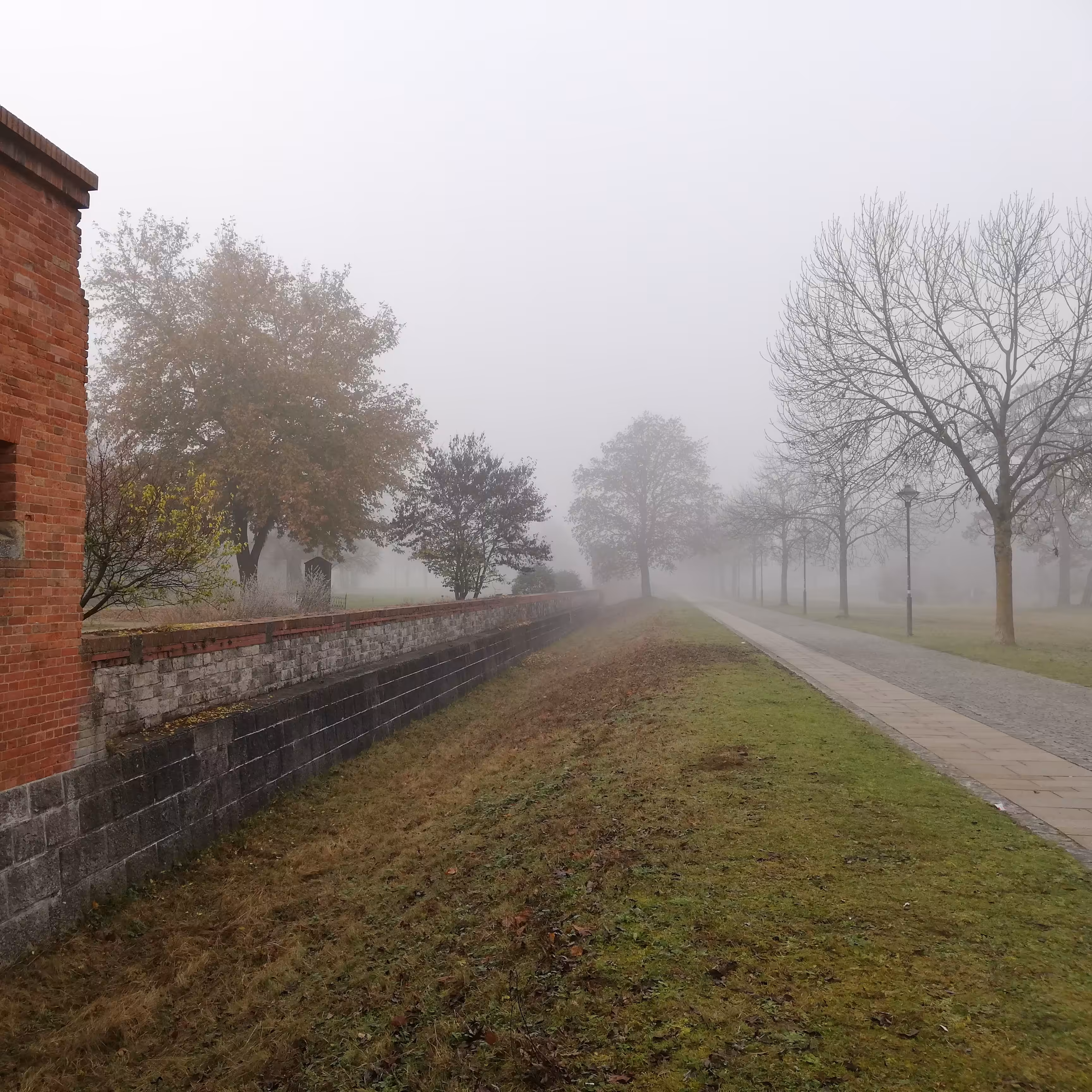 Foggy Fortress #2