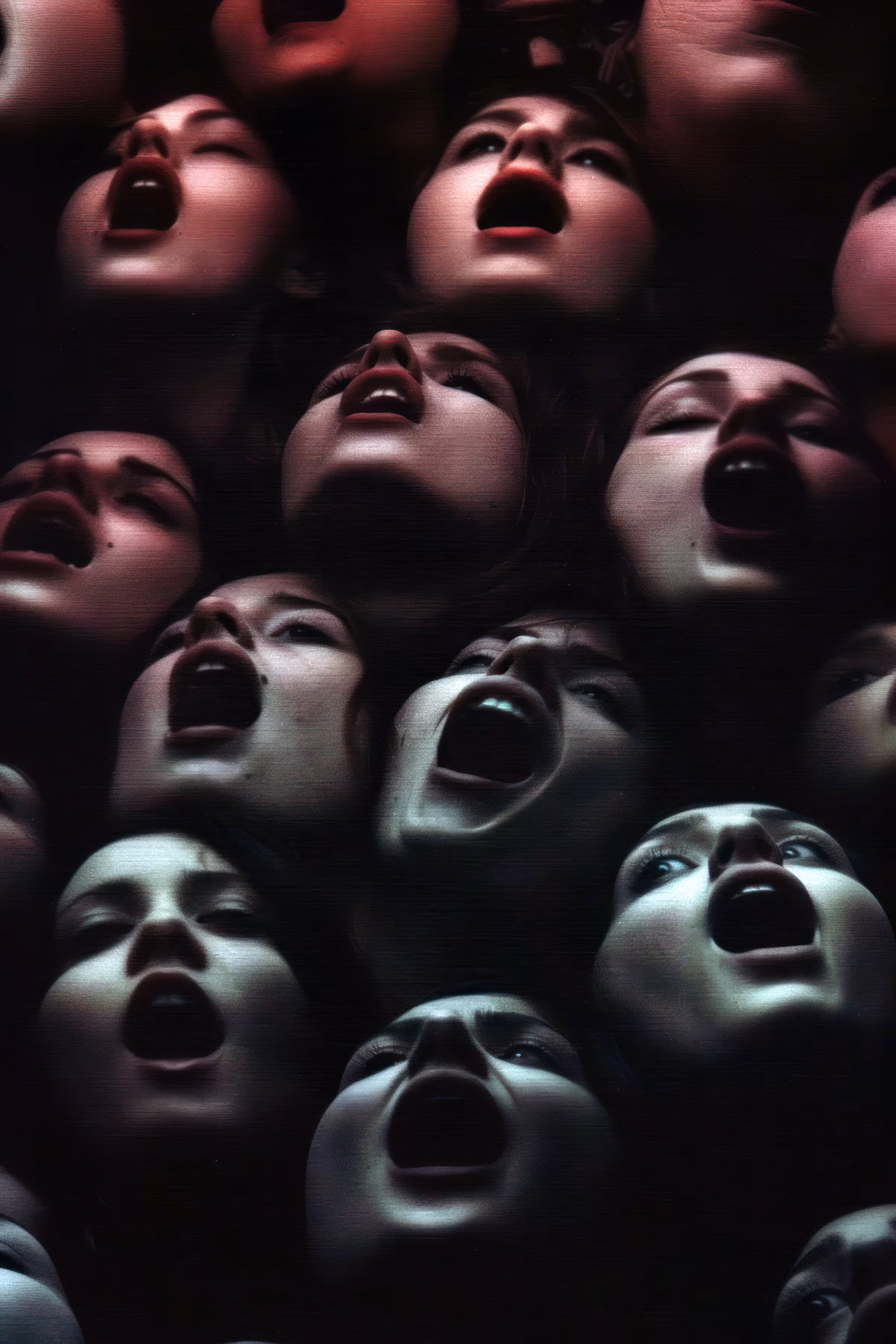 GN dreamers ✨: Cacophony of Bliss