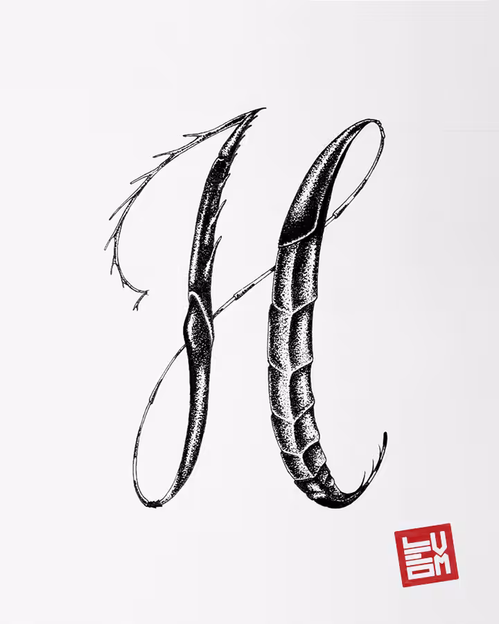 H - Insecttering