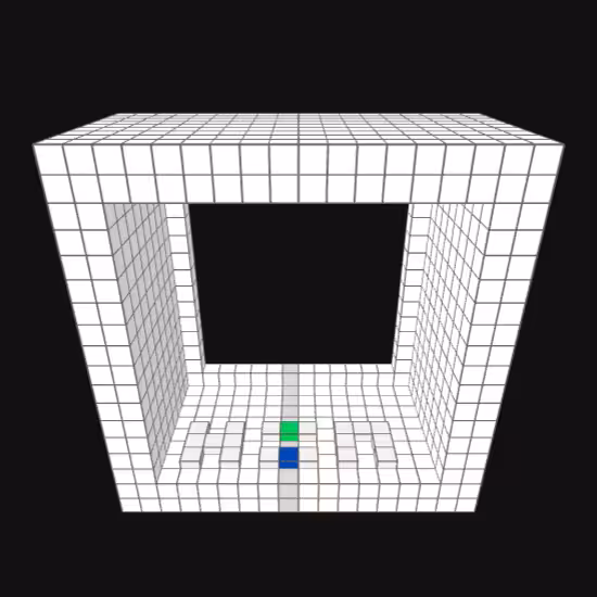 The Window