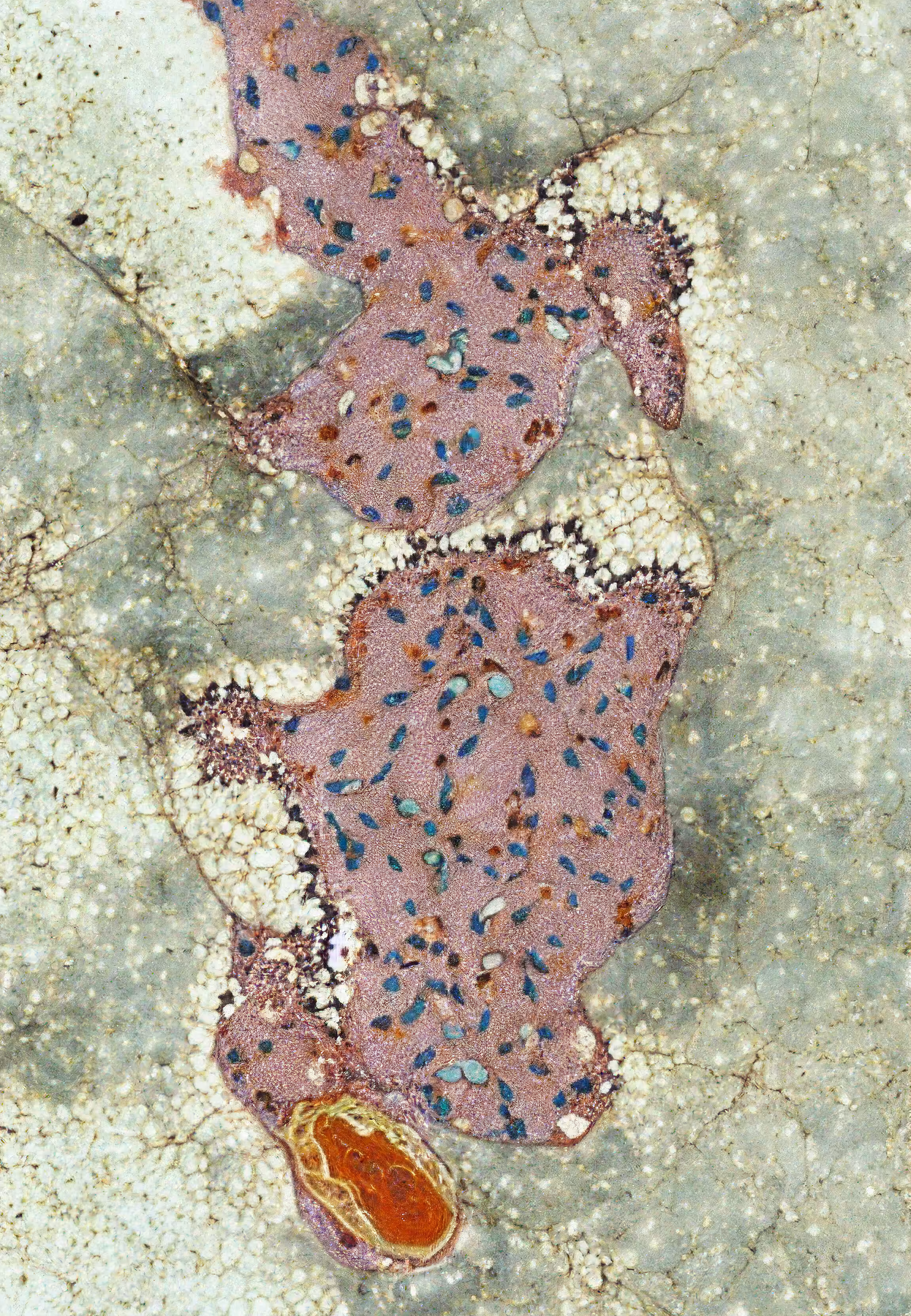 Histologia In Silico #197