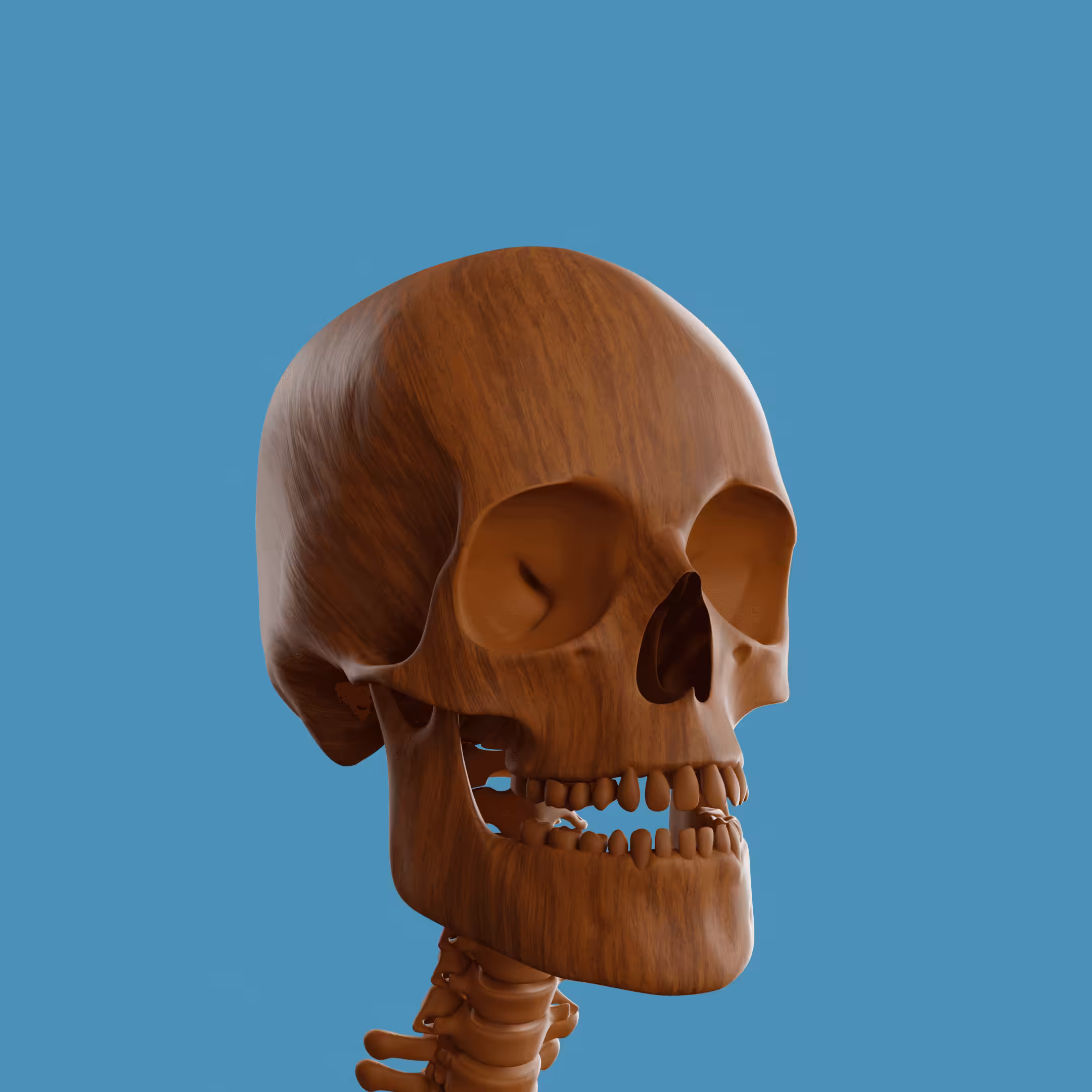Skull Punk #107