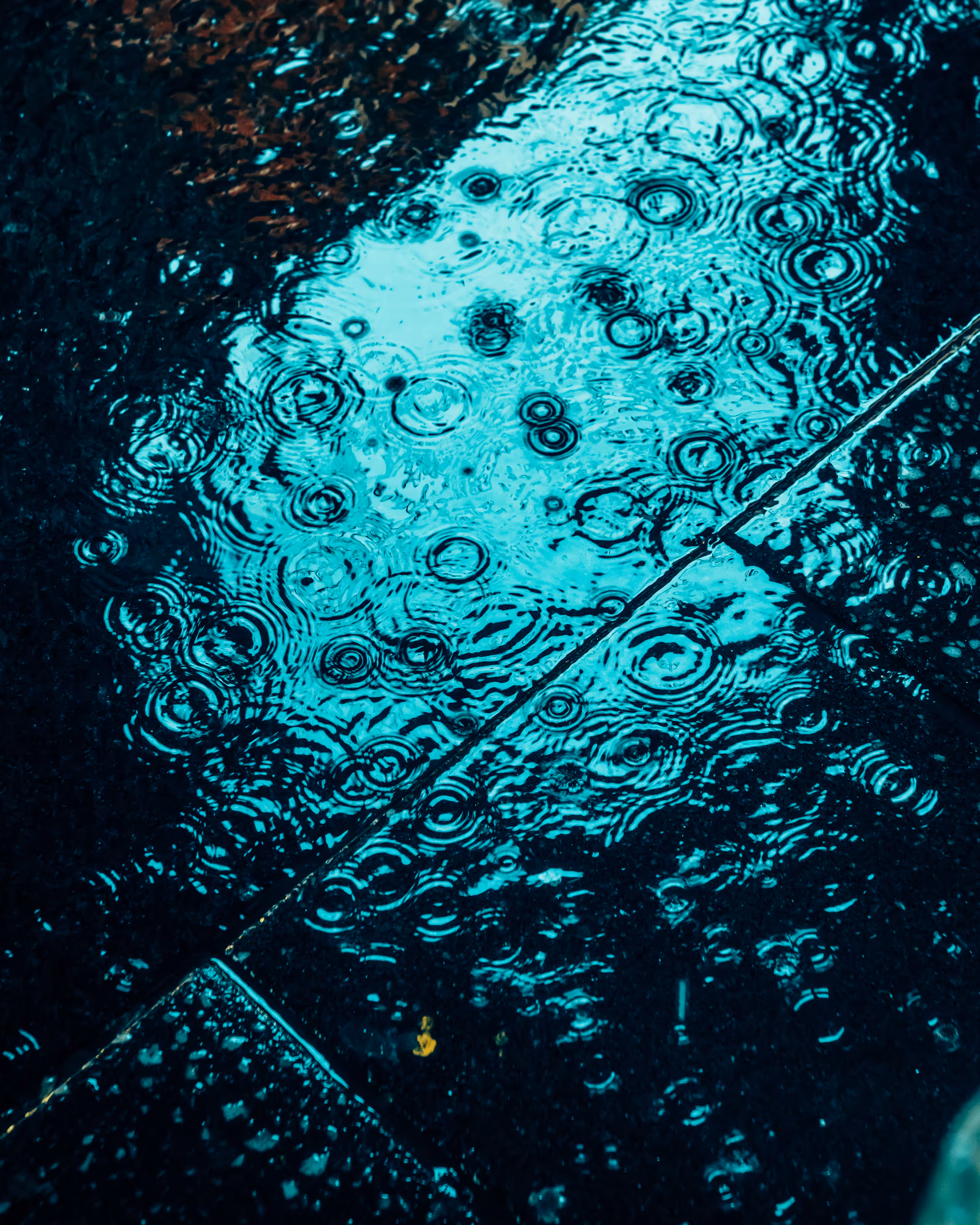 DRIP DROP: DRIP #161