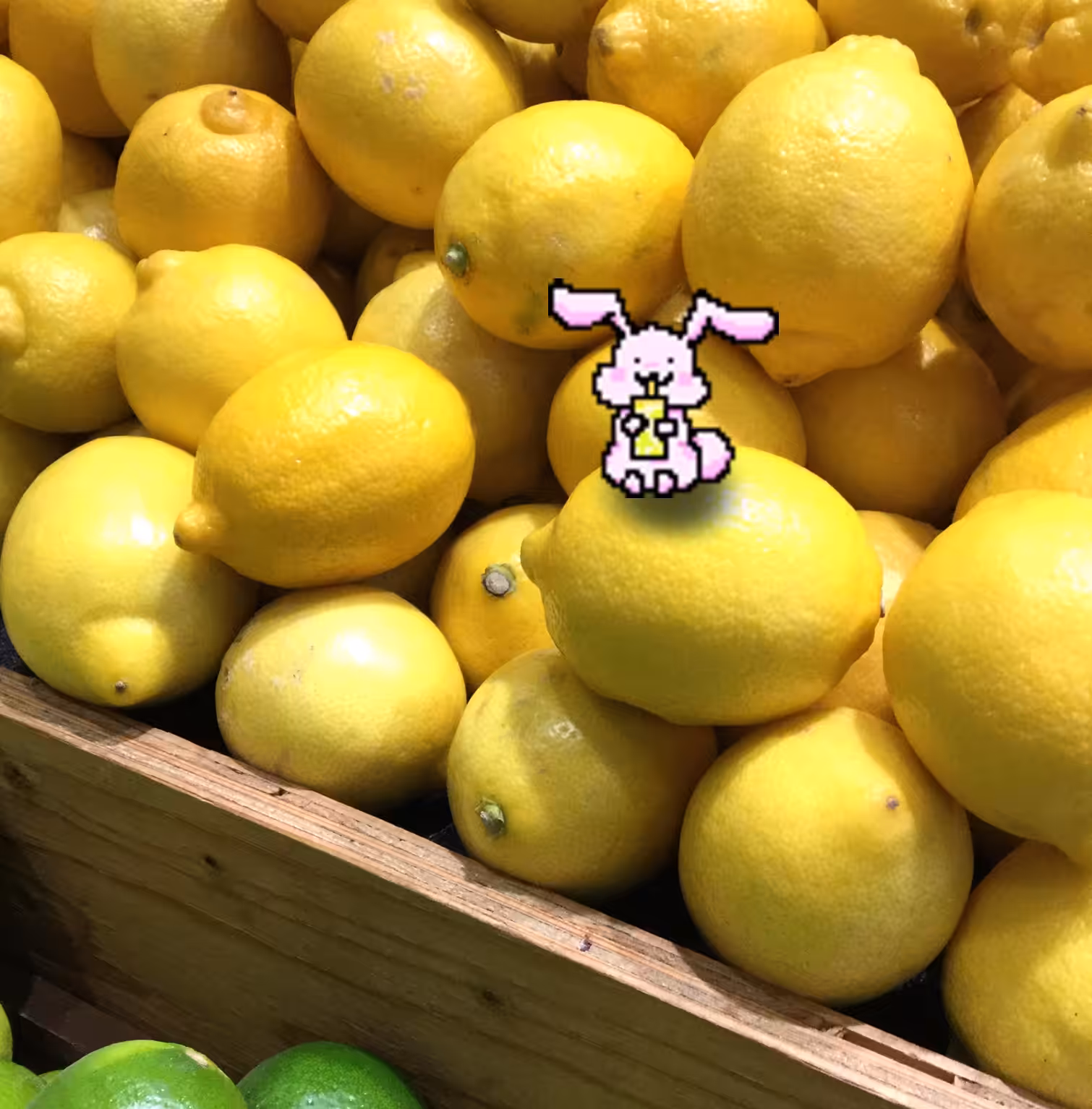 Lemonade time