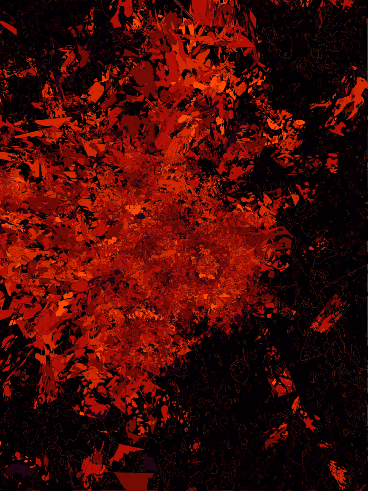 Windfall #11