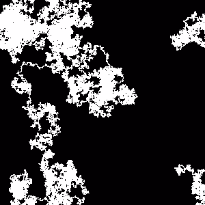 Amaranthine Cadence 242