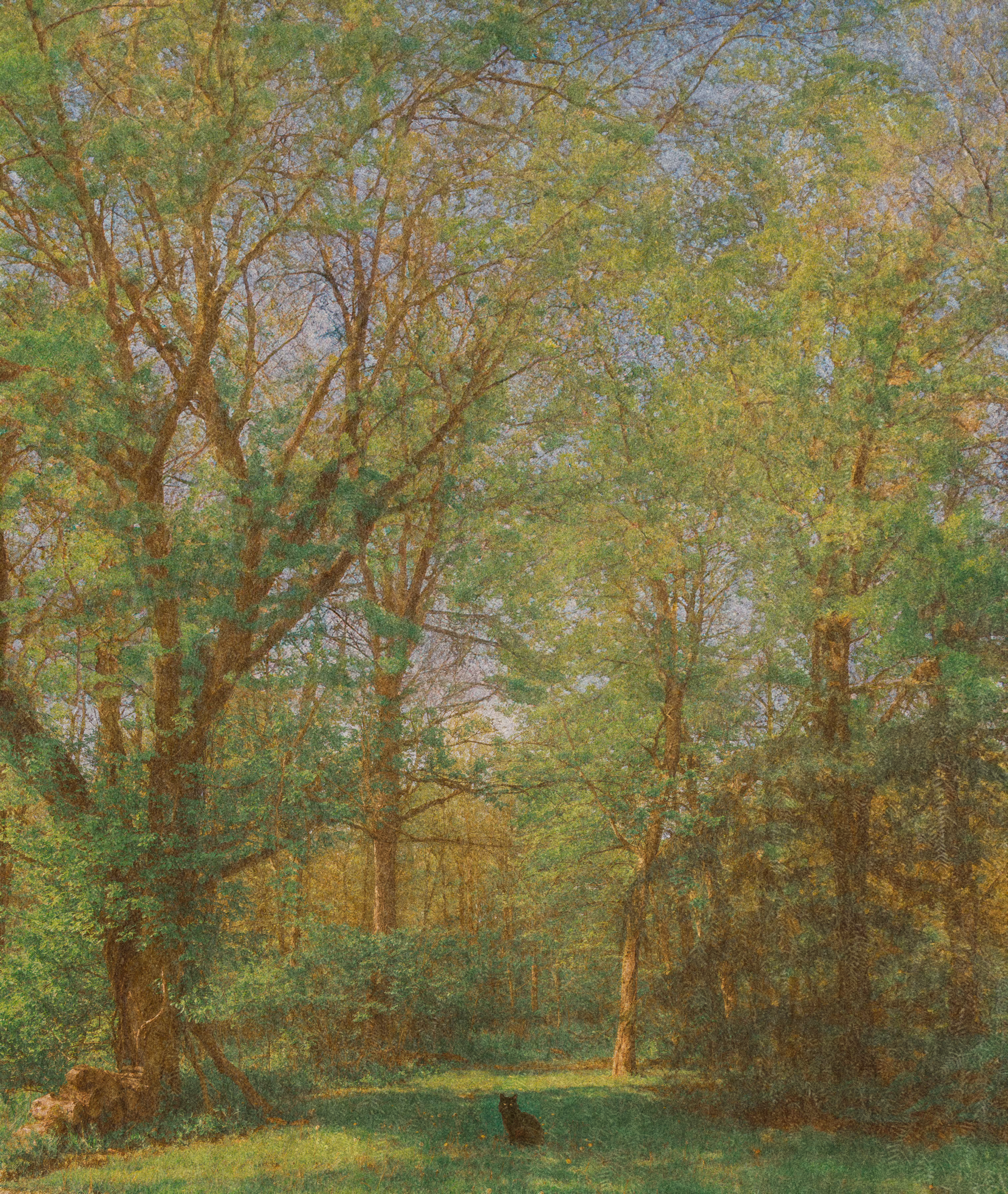 A Day in May