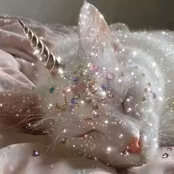 Caticorn
