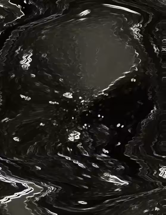 Mitosis