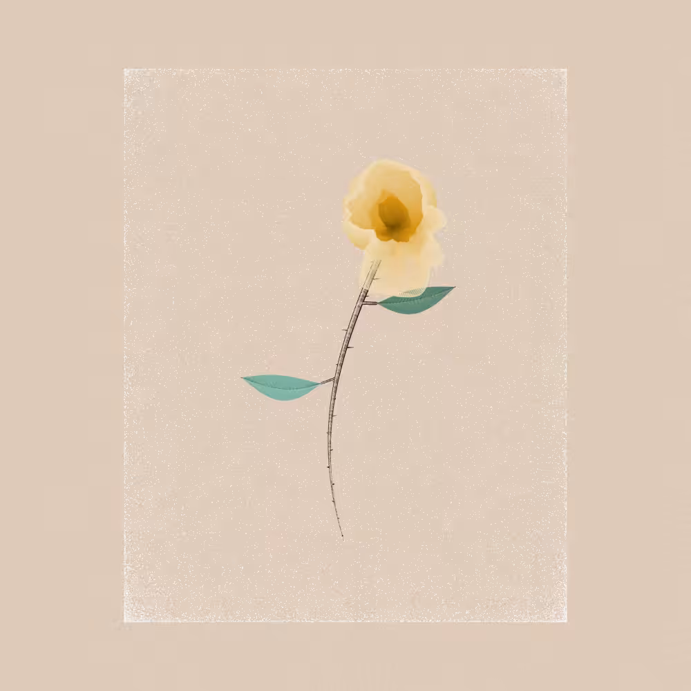 Magnolia #44
