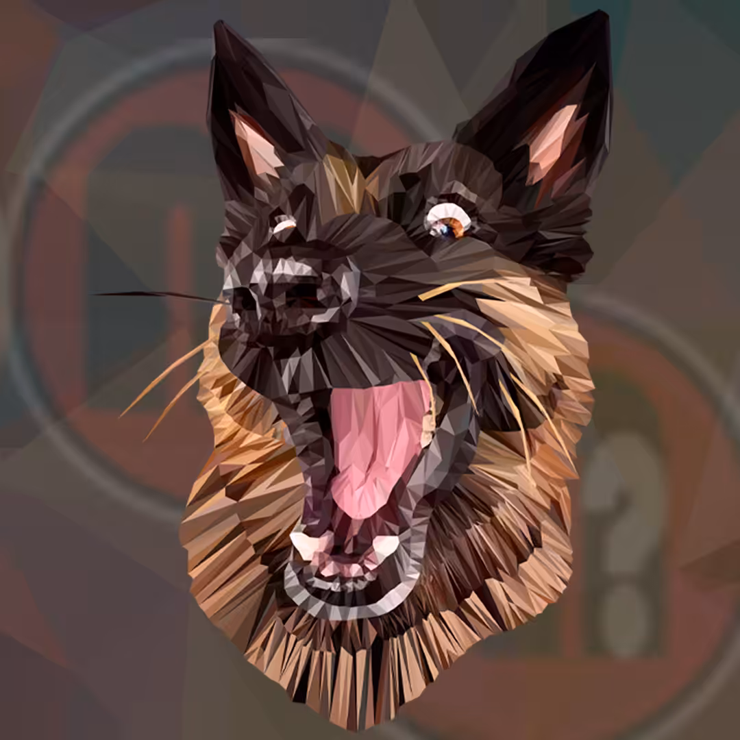 perrito wii