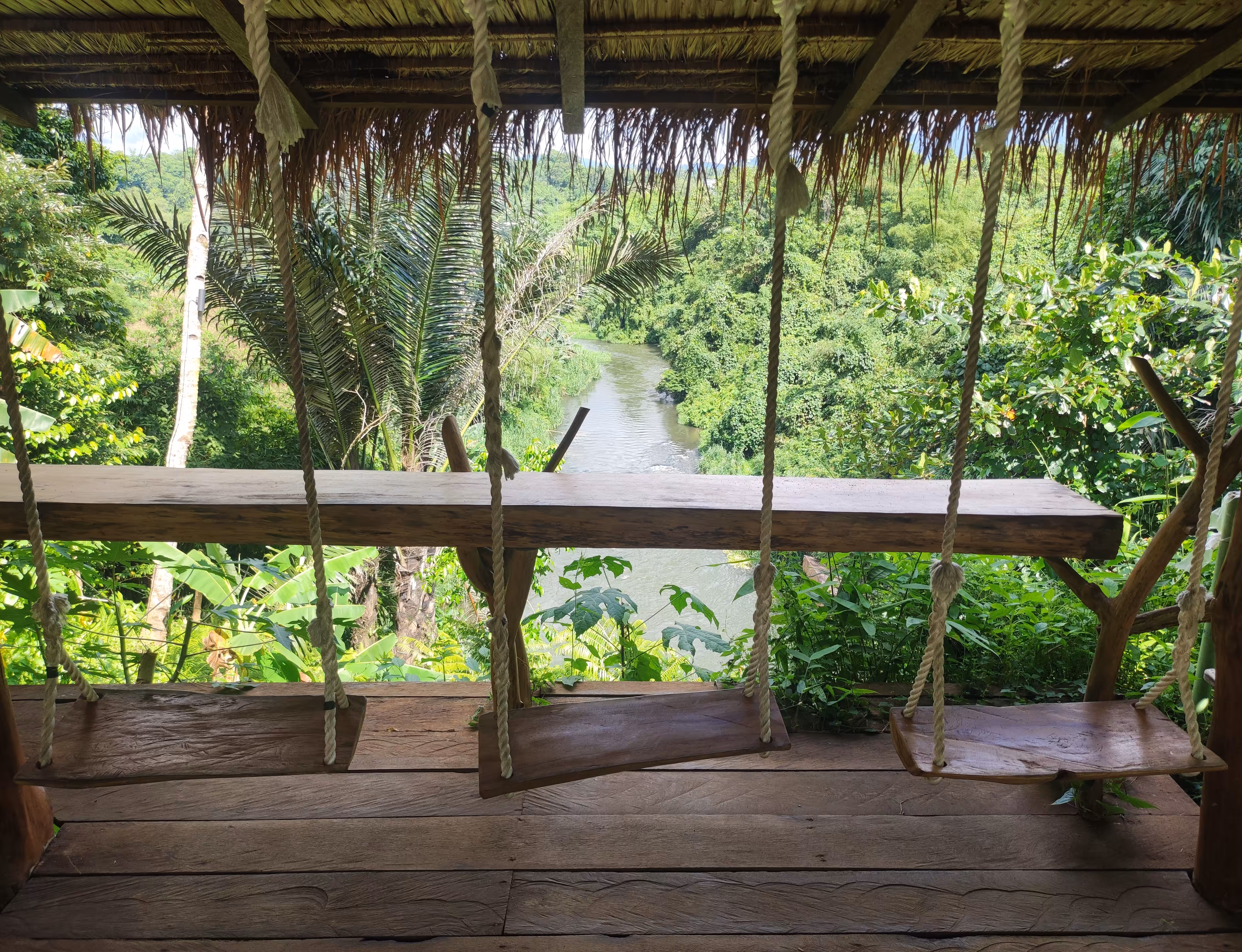 Swings in Paradise