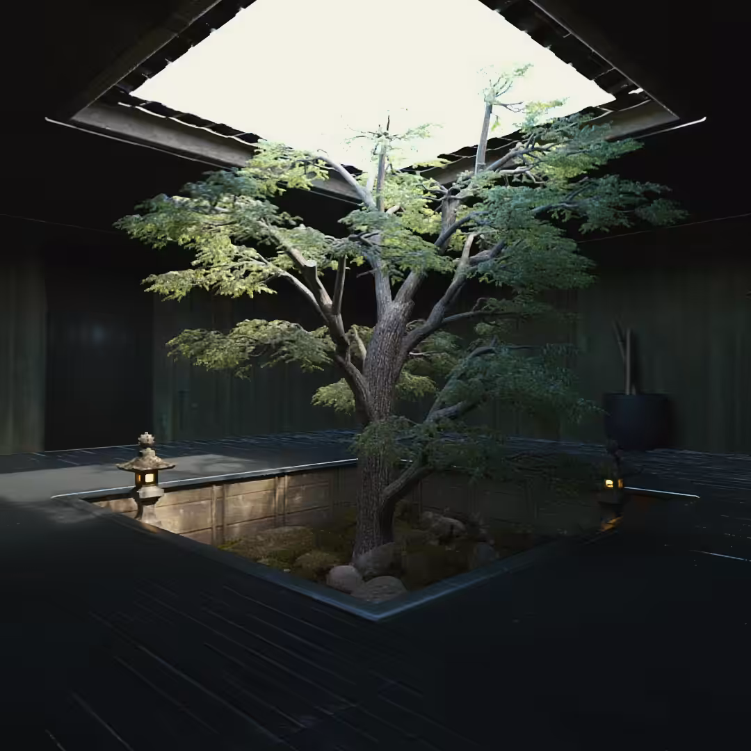 Kodo
