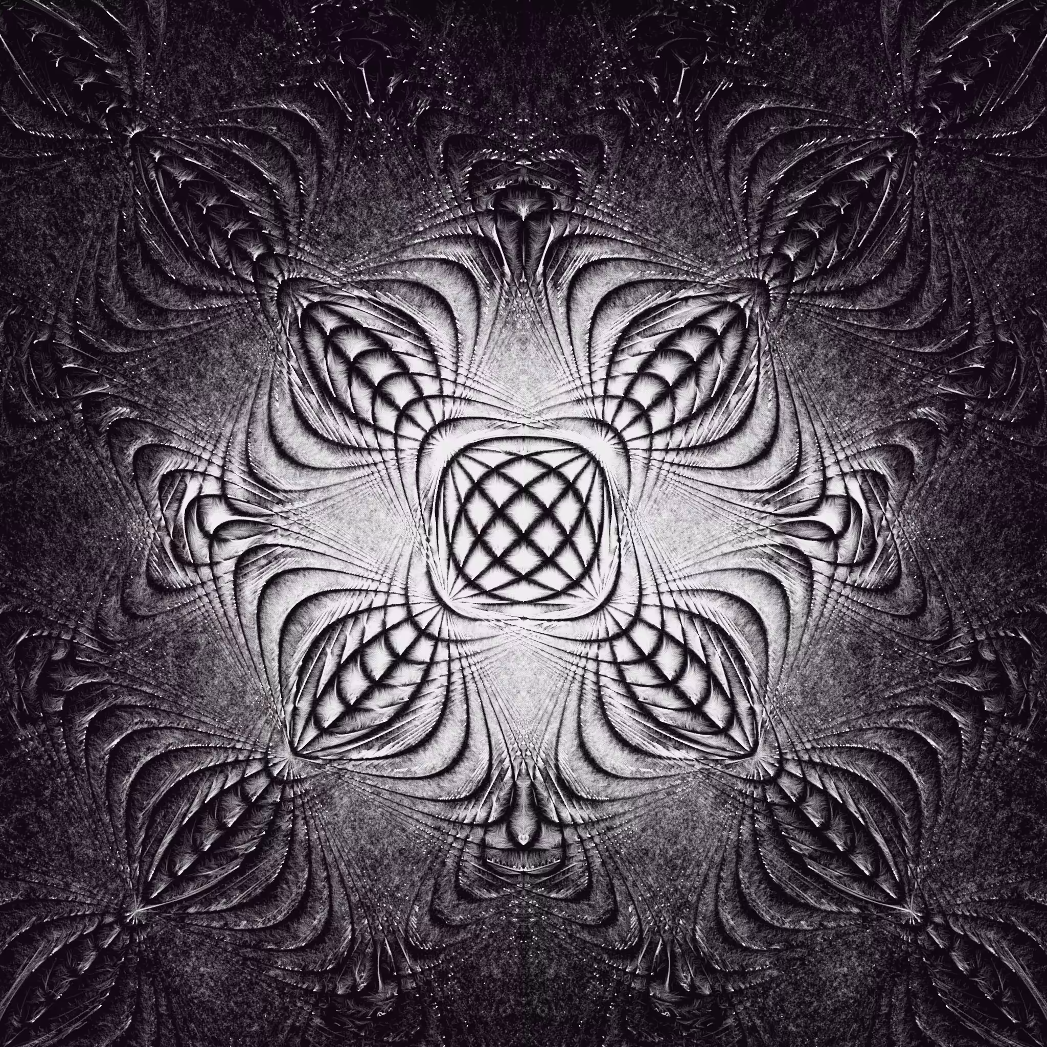 Amerkle #526