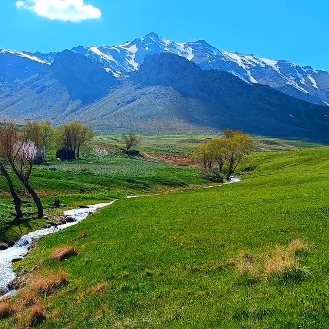 Grassy Valley ,Double Delight