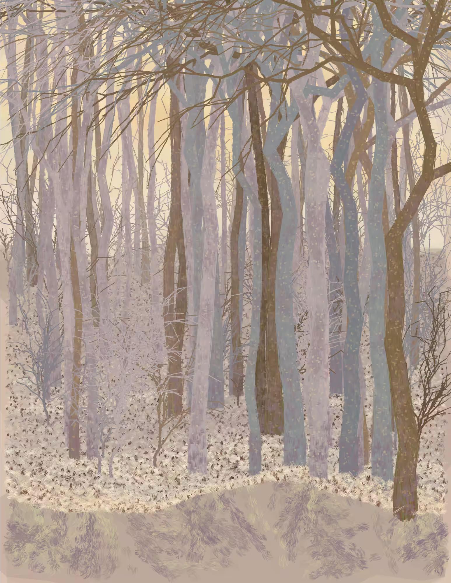 Deep Forest #43