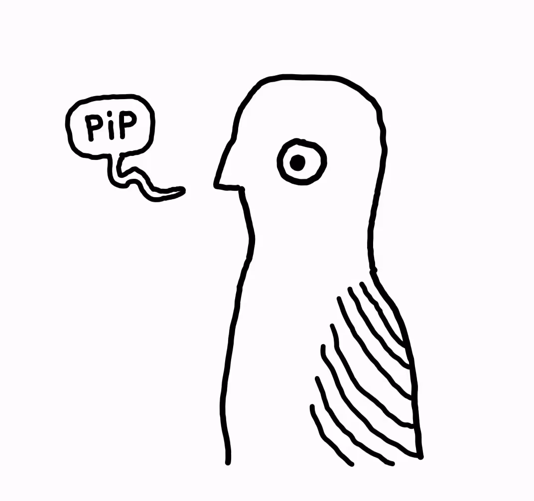 PIP