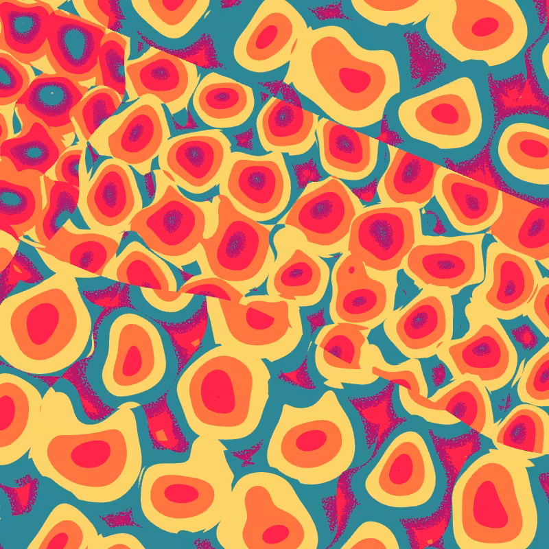 Cellulae #73