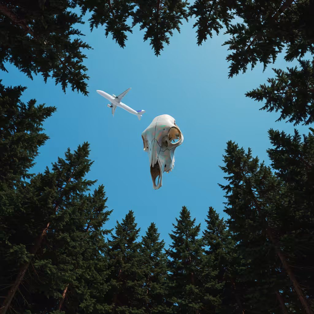 Bones In The Sky