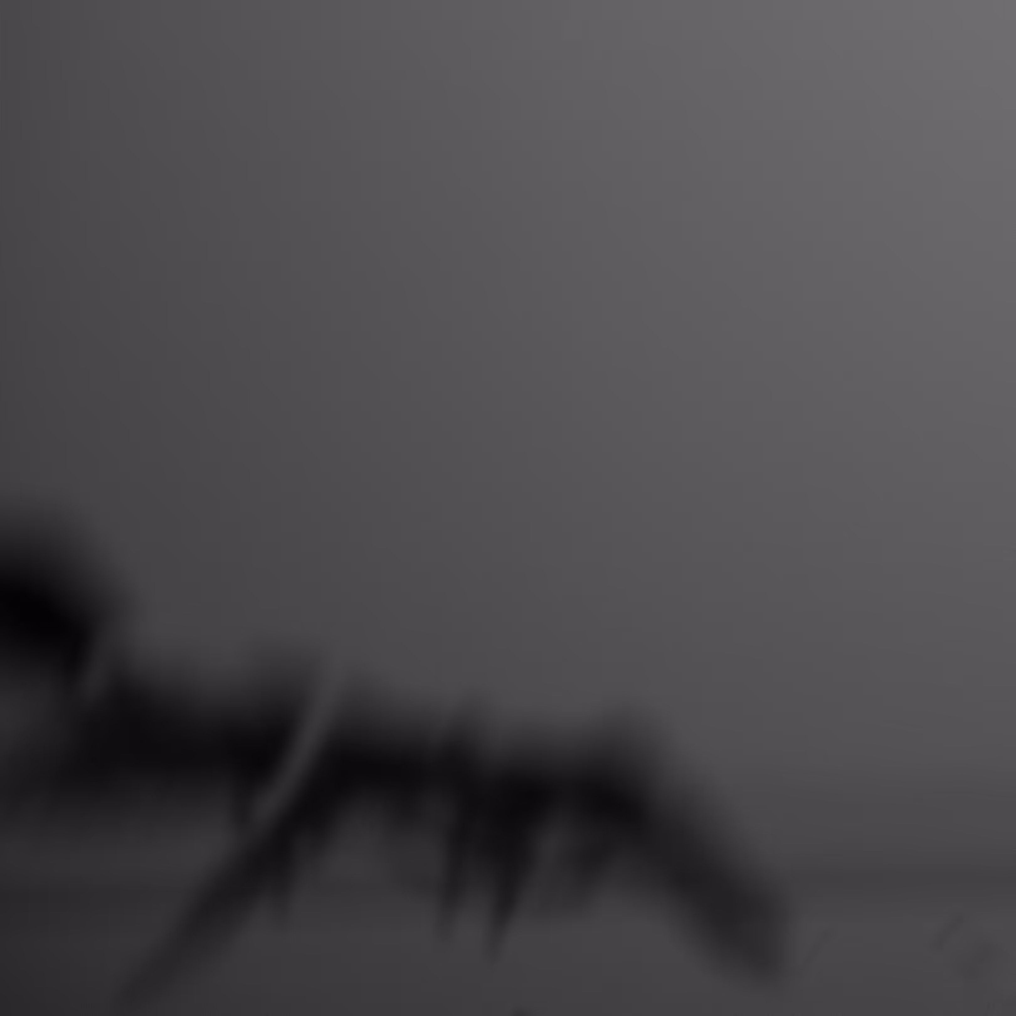 IGNIS FATUUS #17 - SHADOWS