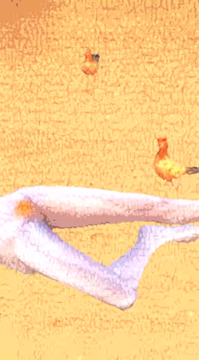 138 Chickens