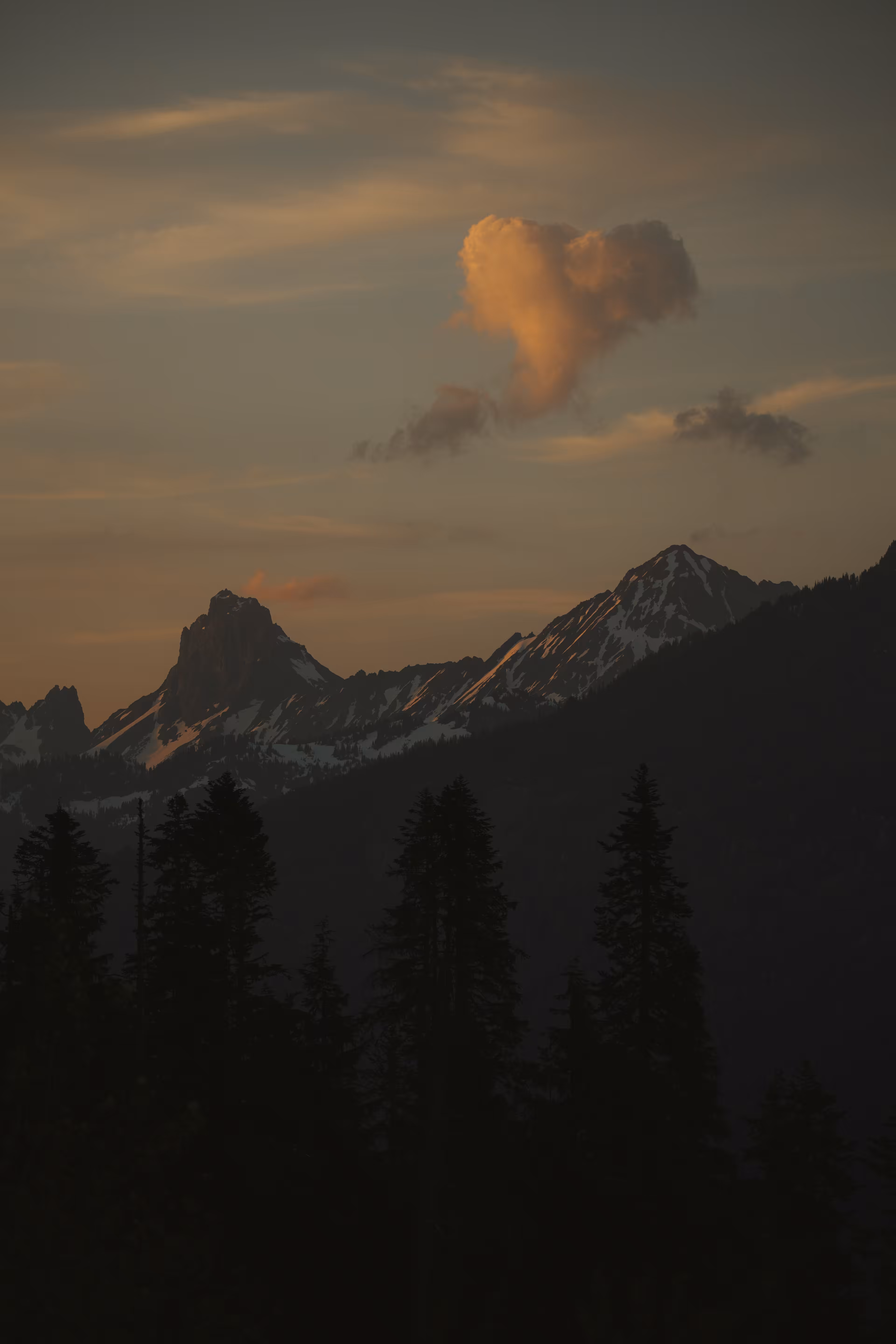 Loving Light