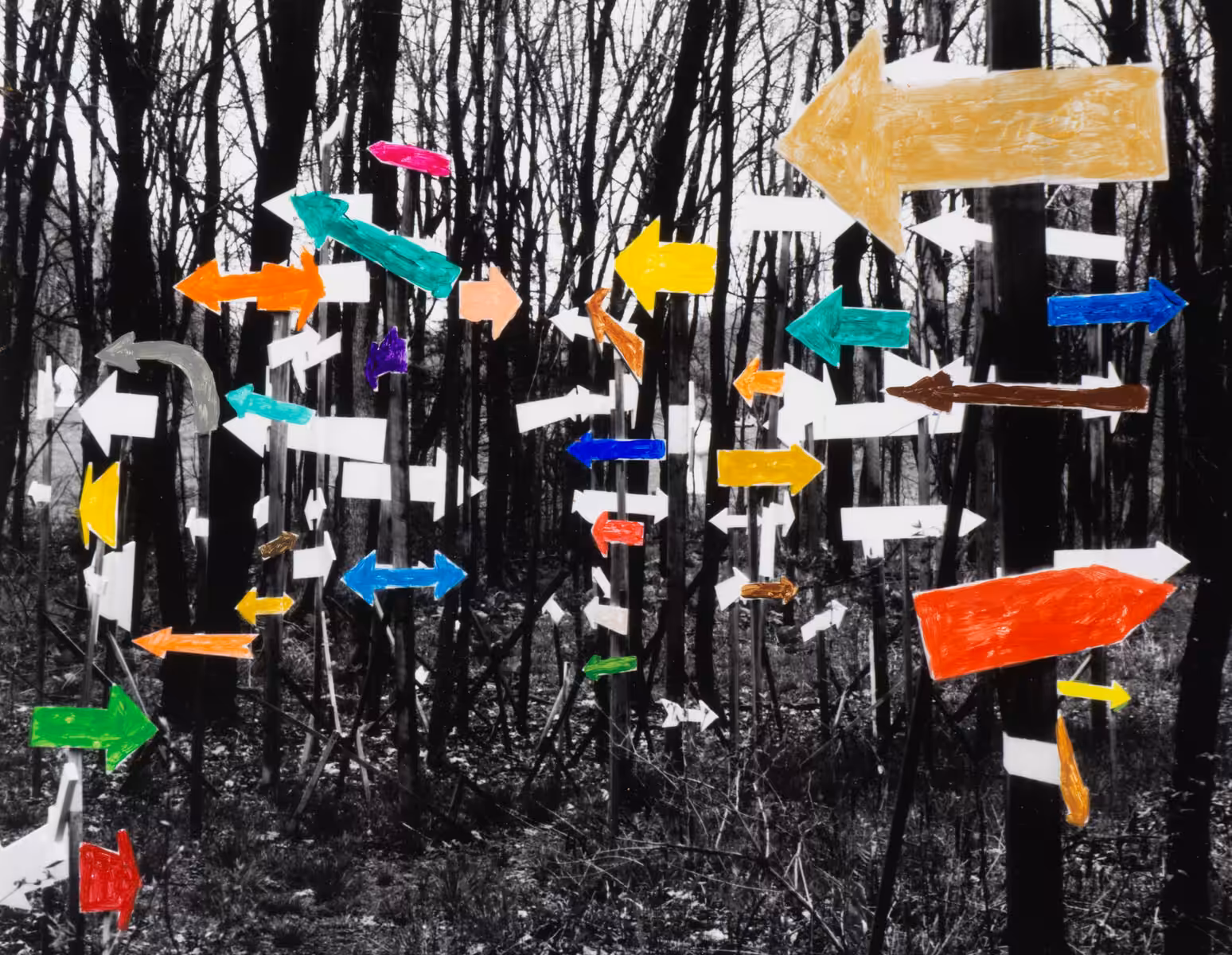 Omi arrows