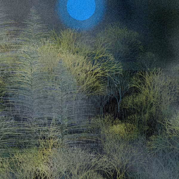 Moonlit Native Bush #116