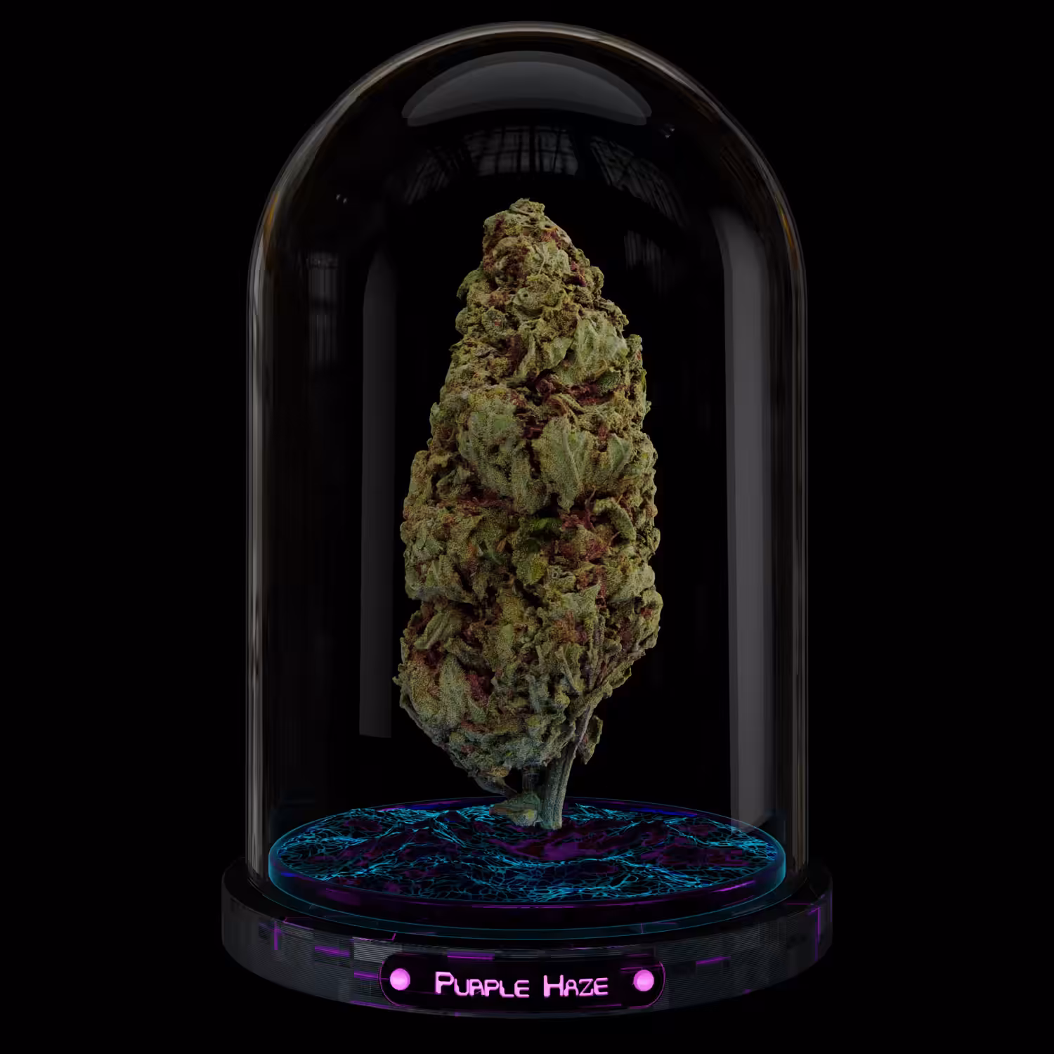 Purple Haze