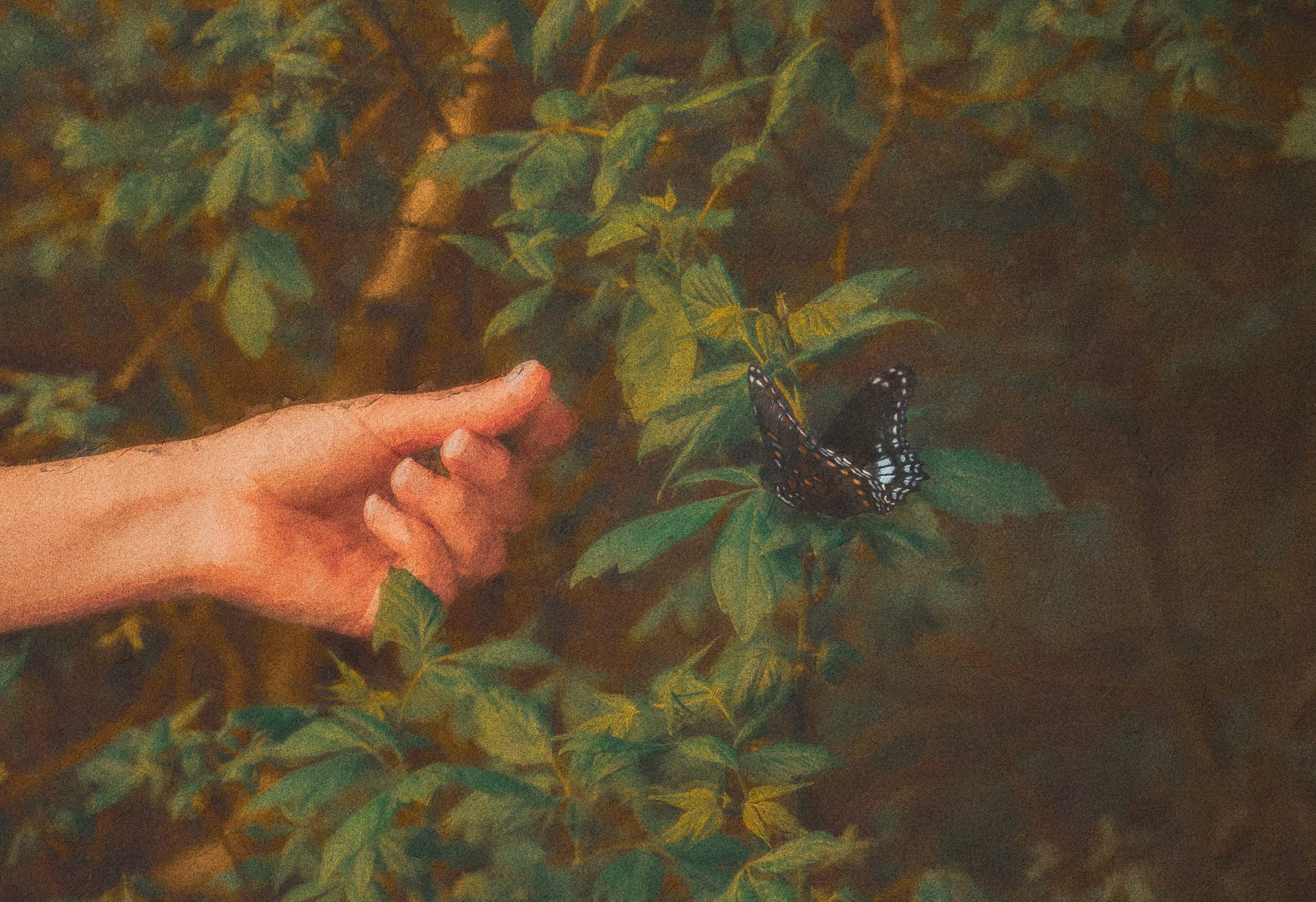 Psyche's Reach