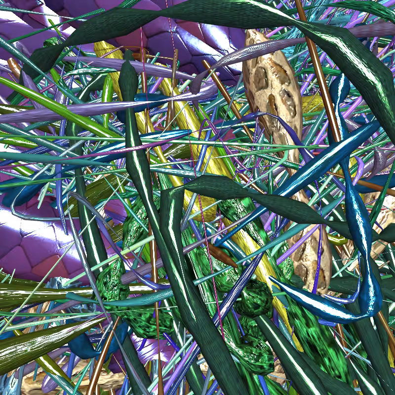 Prismatic Thickets #316