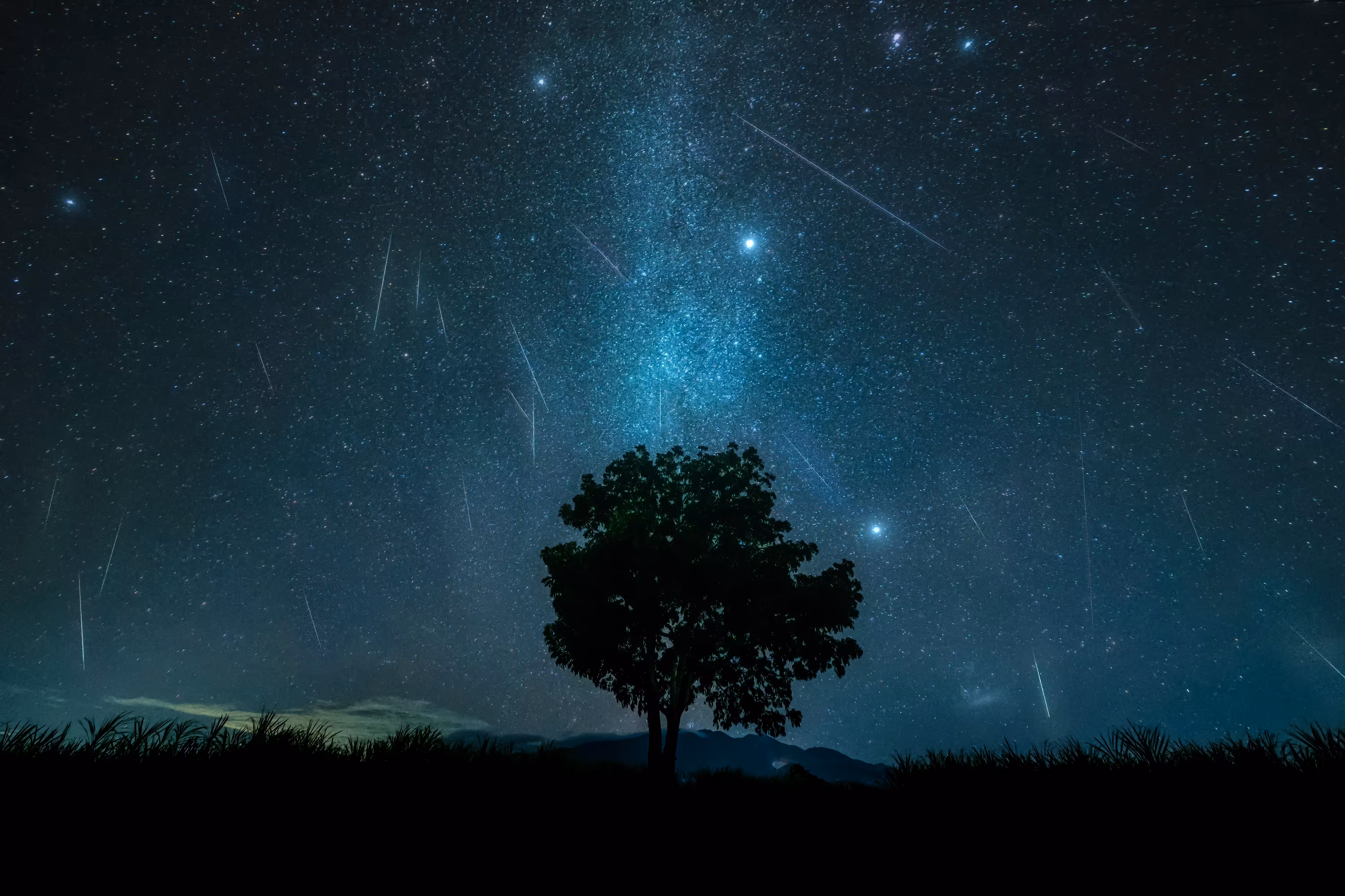 A Sky of Falling Stars