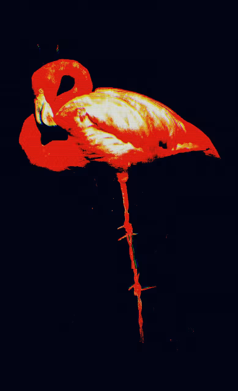ZOO