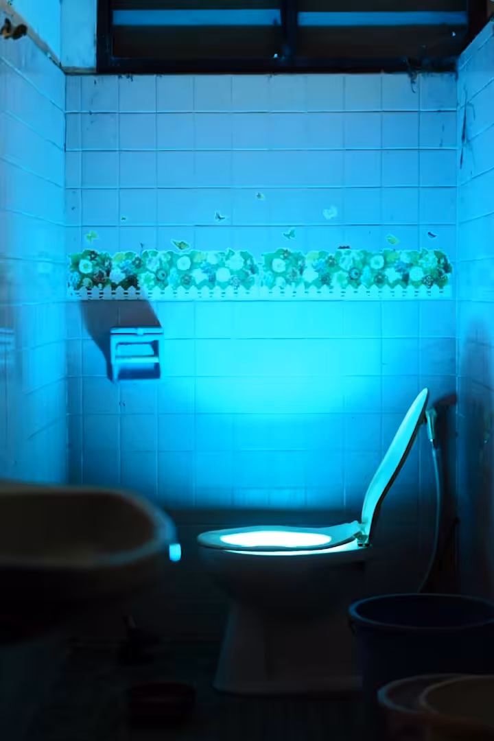 The Tempered Toilet