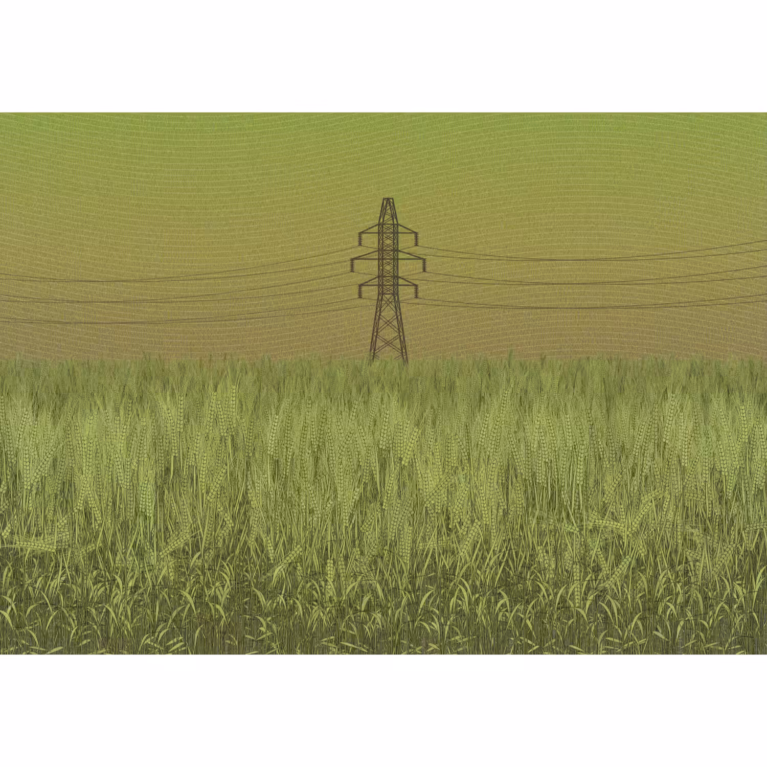 Fields of the Abandoned Homeland #18
