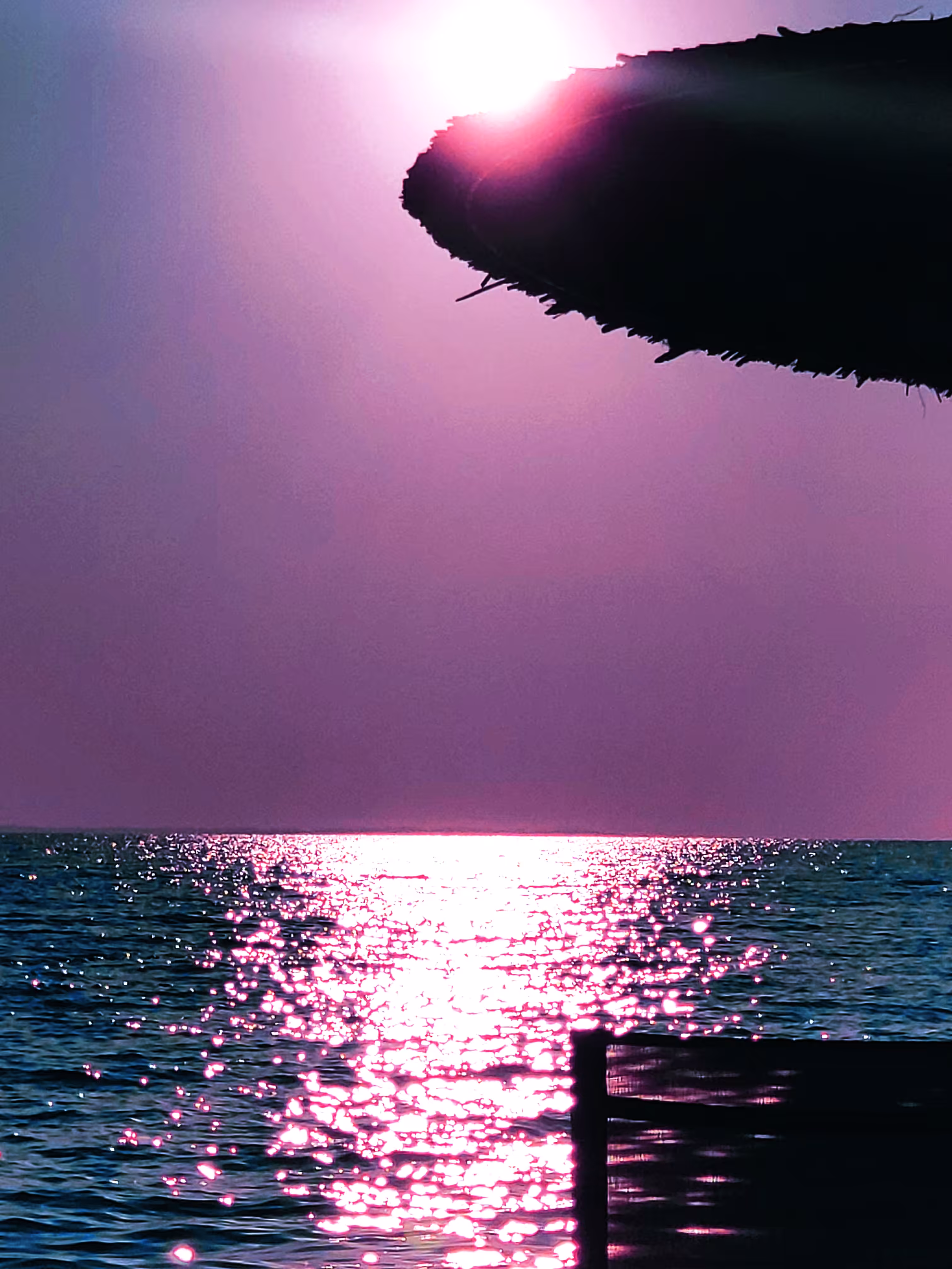 Purple Sunset
