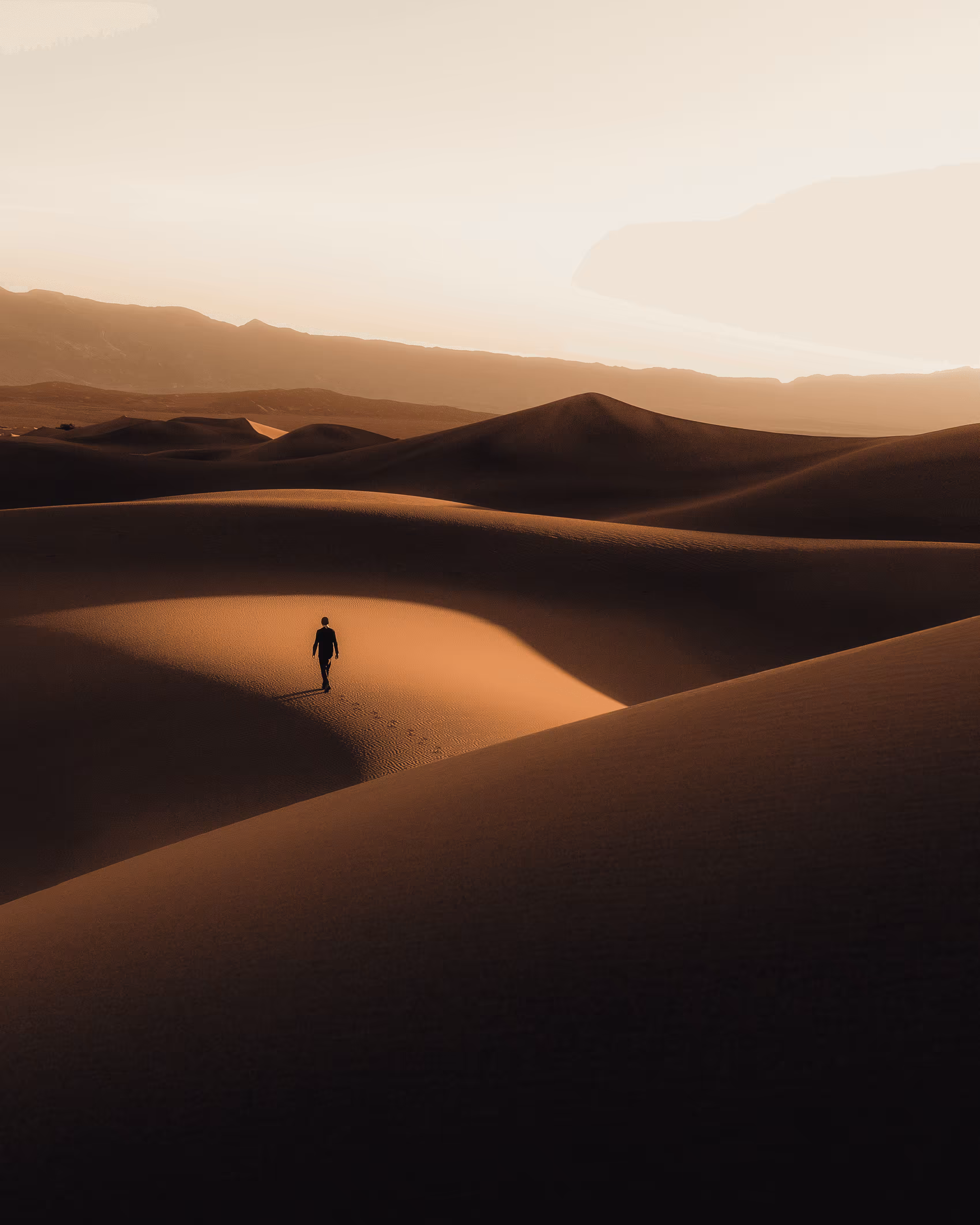 Dune: The Collection #14