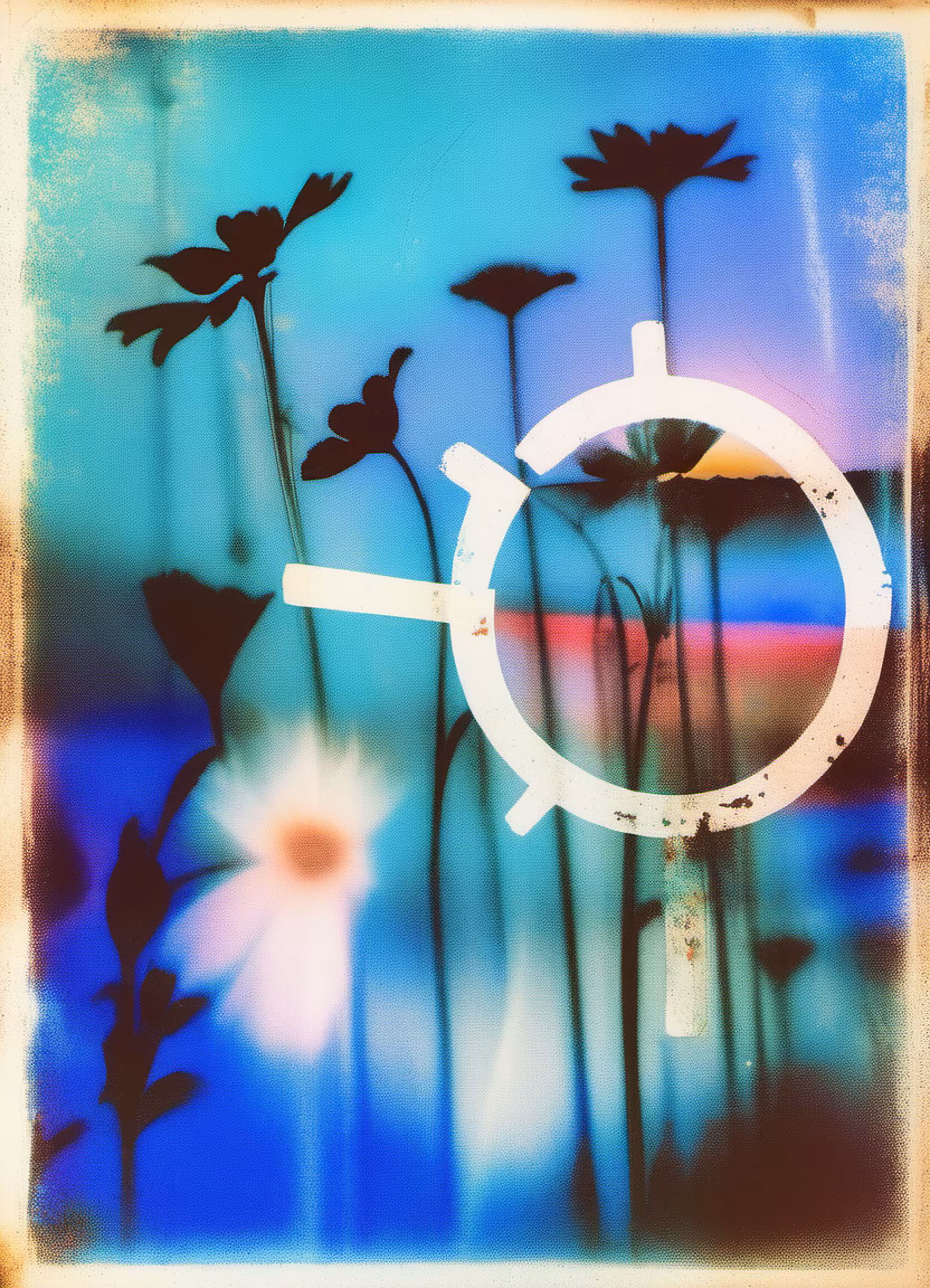Summer Distortions #9