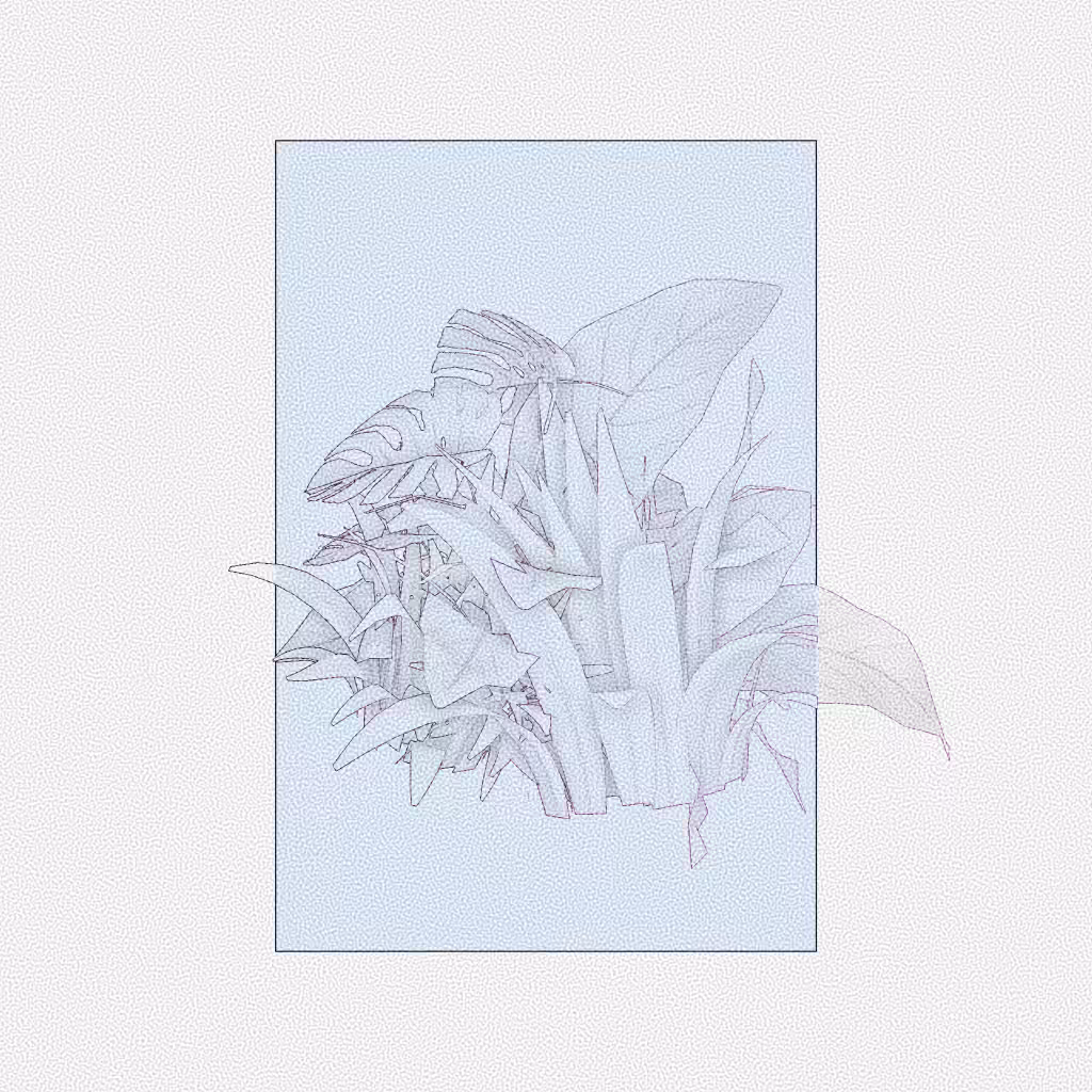 Botany #92