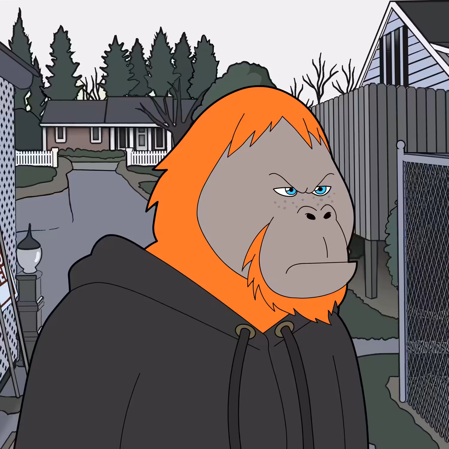 Angry Ranga