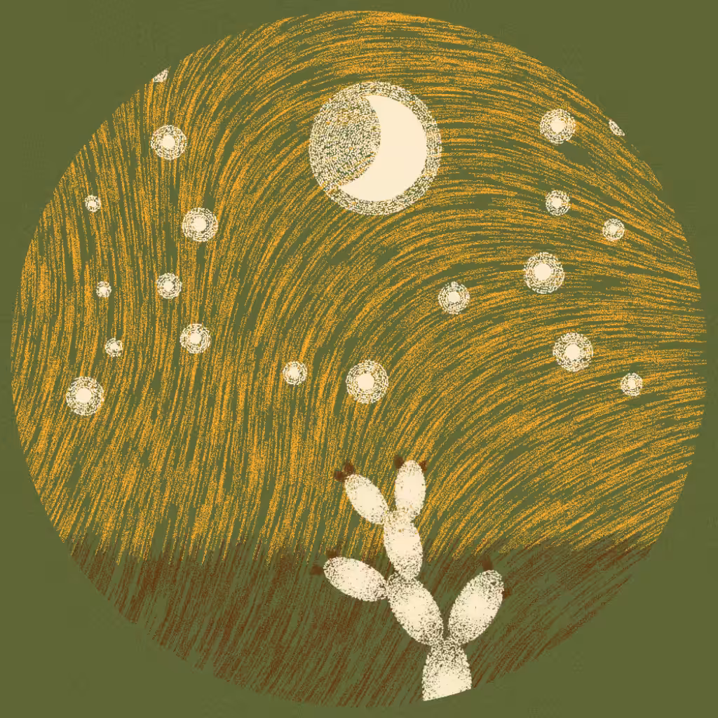 Starry Night #15