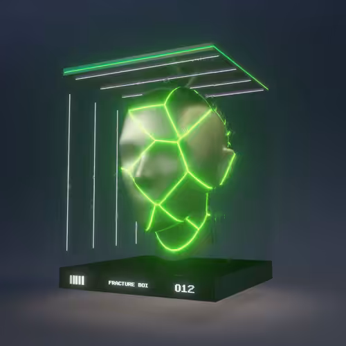 FRACTURE BOI - 012