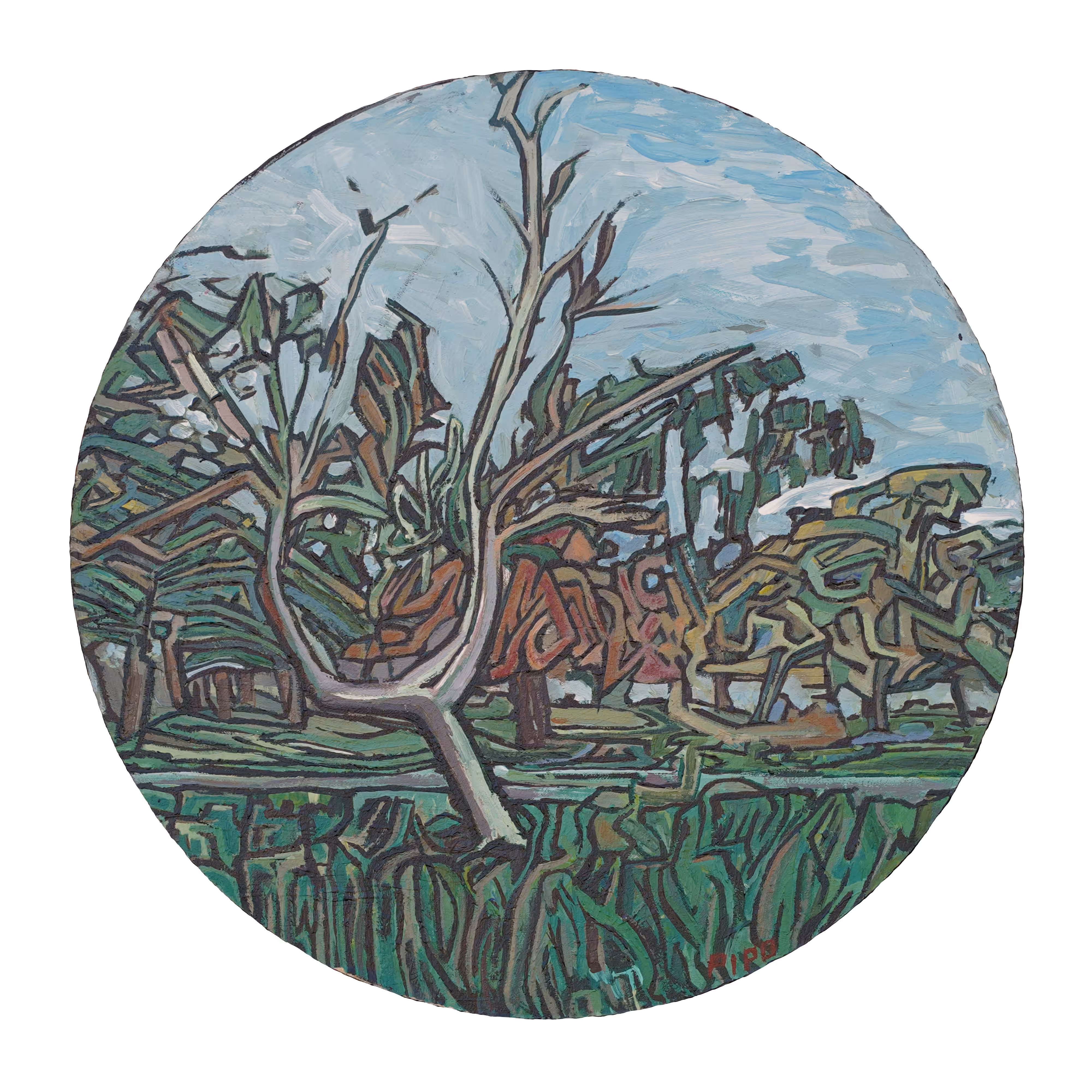 ARBOL PARQUE