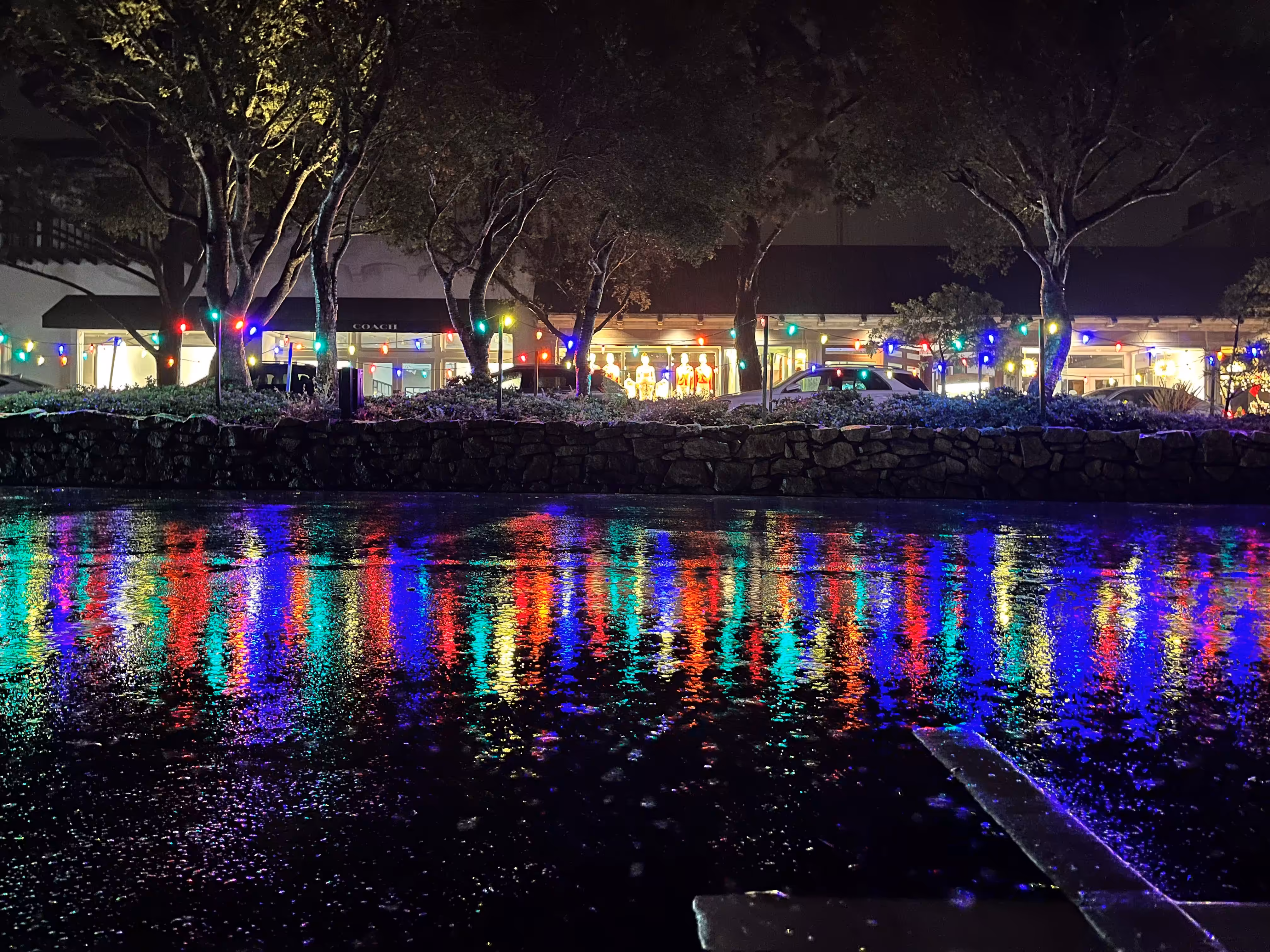 A Christmas in Carmel