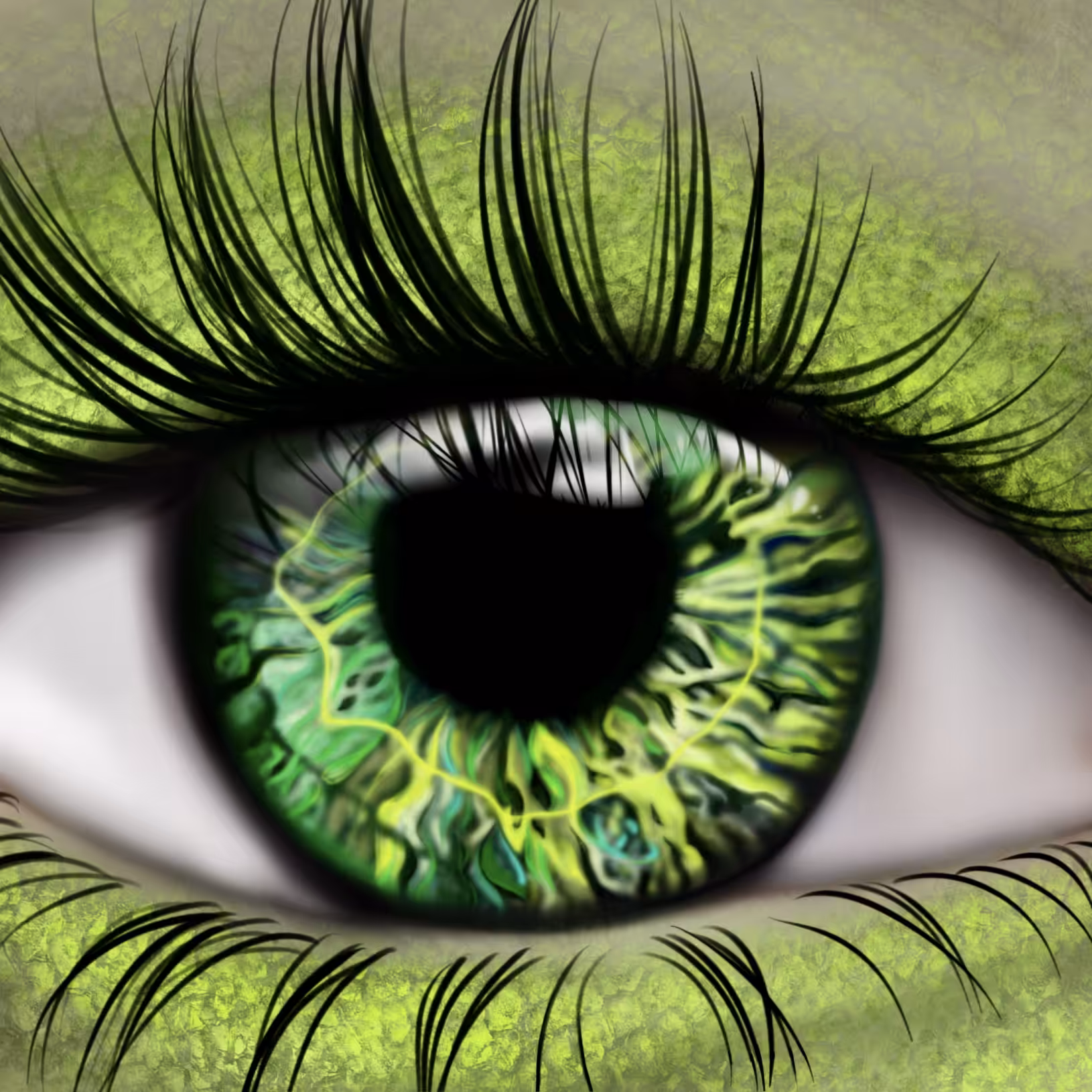 Iguana eye