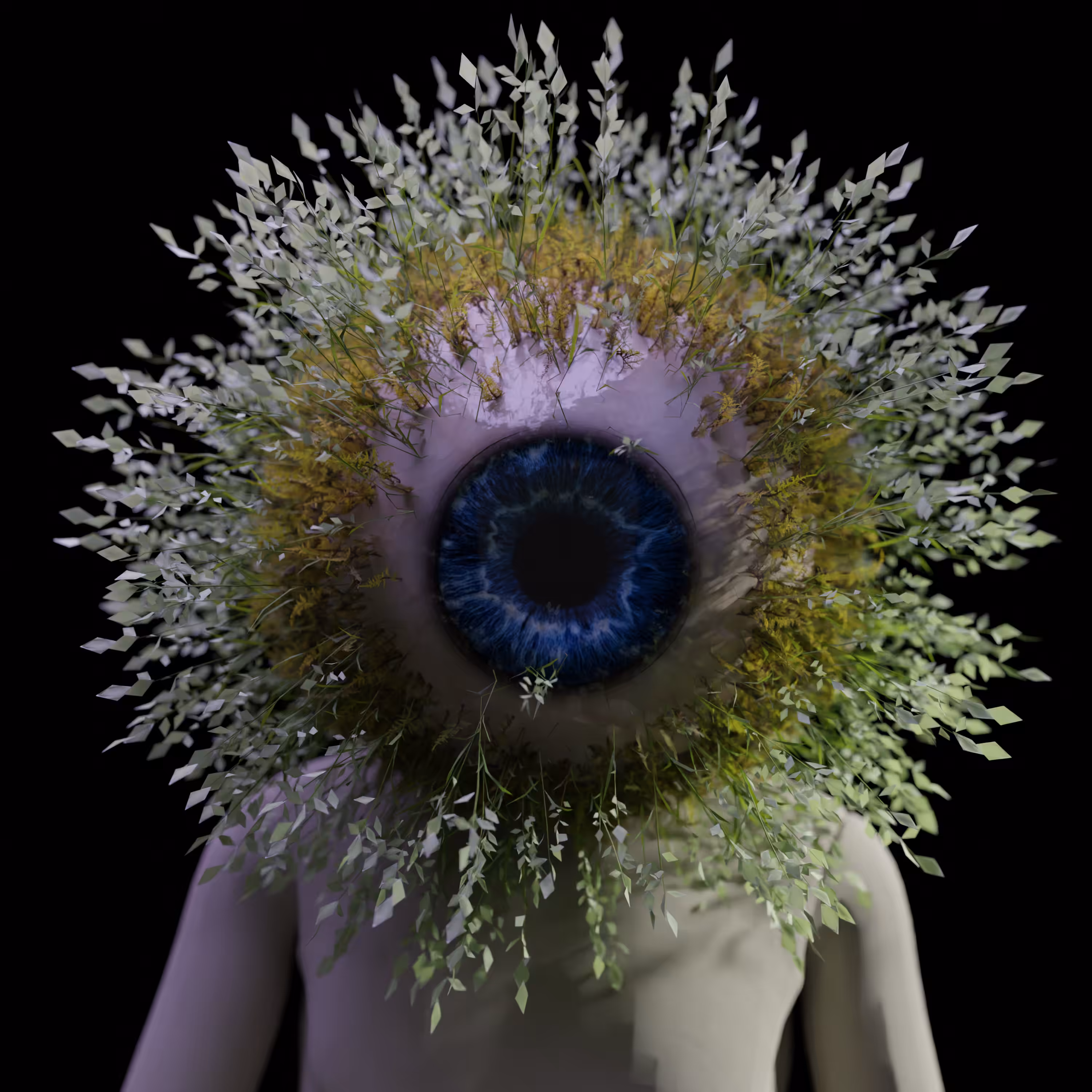 the eye of the grass