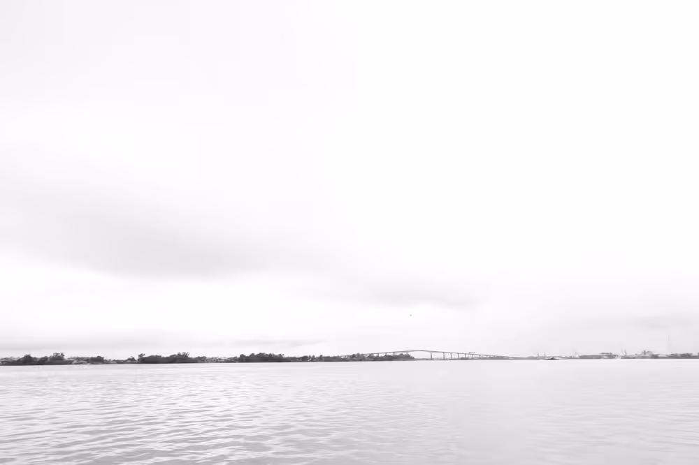 New Horizon