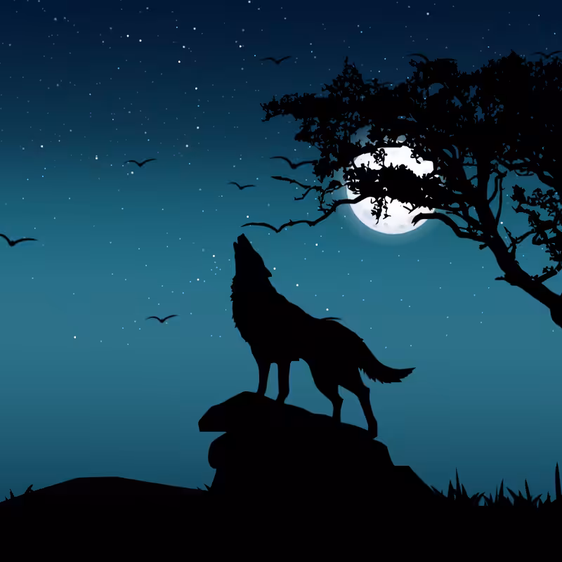 We Care...Wolf #6