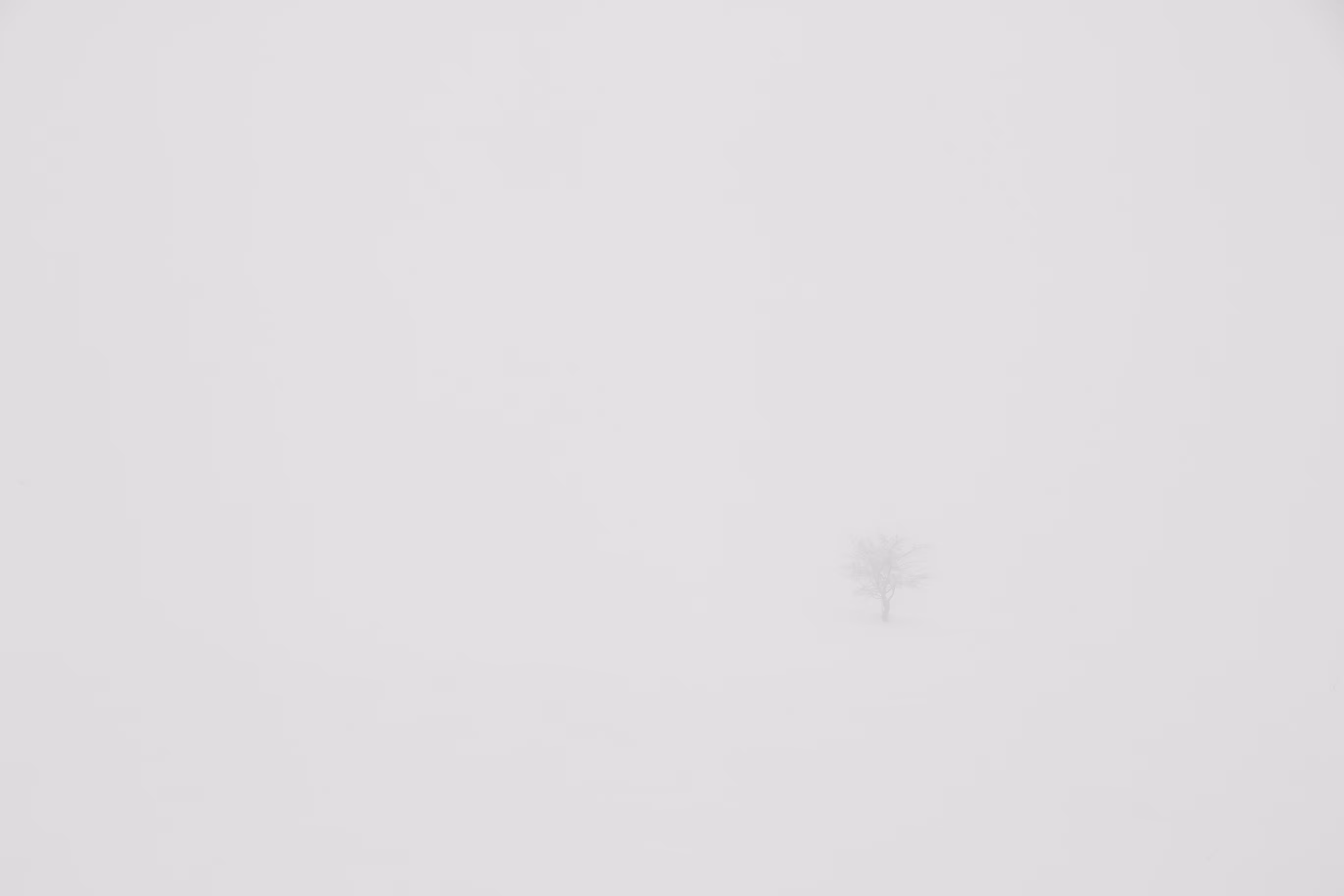 Fog